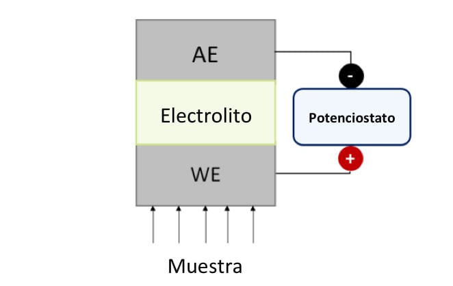 Figura 1. Representación esquemática de un sensor amperométrico genérico. WE: Electrodo de Trabajo, AE: Electrodo Auxiliar.