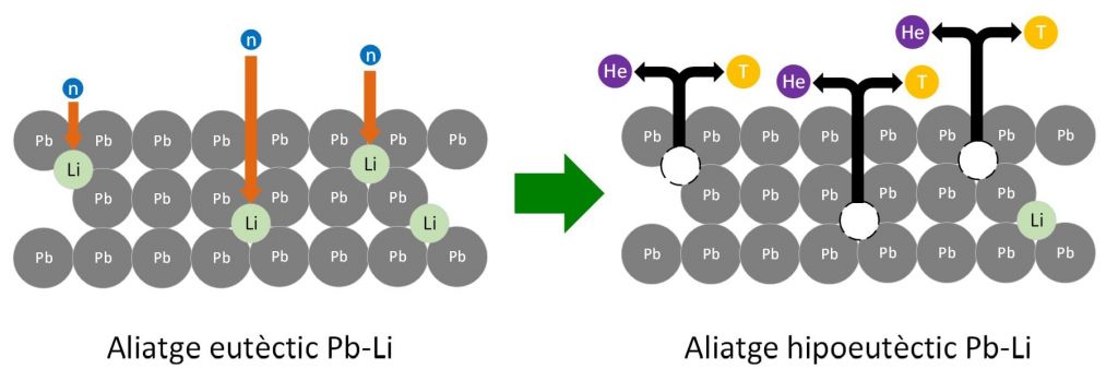 Figura 1. Representació del procés de generació de triti a una breeding blanket d’eutèctic Pb-Li i la seva transformació a l’aliatge Pb-Li hipoeutèctic.