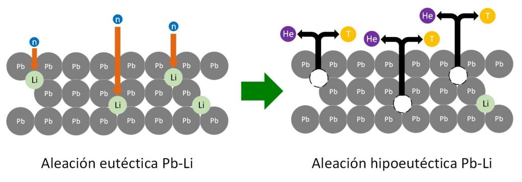 Figura 1. Representación del proceso de generación de tritio en una breeding blanket de eutéctico Pb-Li y su transformación a la aleación Pb-Li hipoeutéctica. 