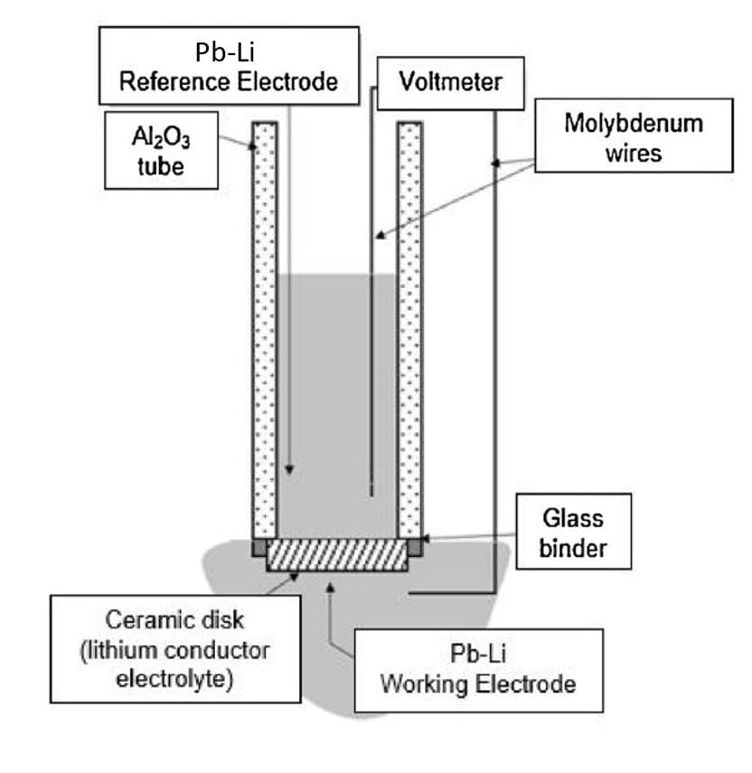 Figura 3. Representación del sensor electroquímico de litio.