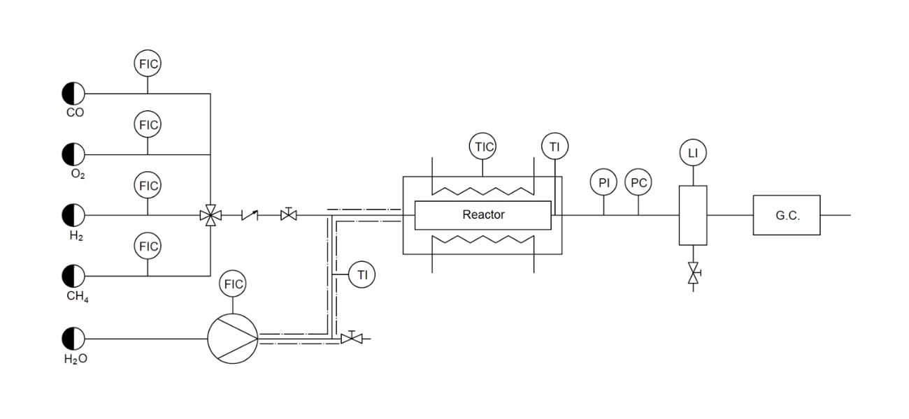 Schema of the reaction system used.